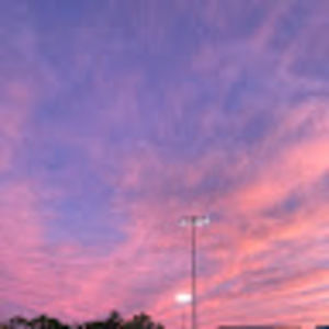 Meet your Posher, Ella